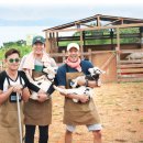 도봉목장 이미지