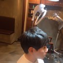달보드레미장원