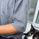 전원미술관 이미지