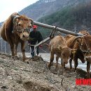 들녘한우 이미지