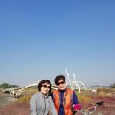 갯골생태공원 이미지