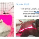 펫스니즈(주) 이미지