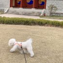 준약품 이미지
