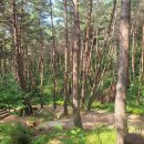 거창 항노화 힐링랜드 이미지