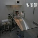 맘동물병원 네이버블로그
