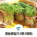 정농원 이미지