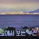 백세 흑염소 추어탕 이미지