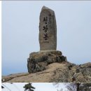 진달래화원 이미지