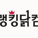 에프엔어니스티