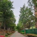 지장1천 이미지