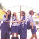 핑클 카카오 검색결과