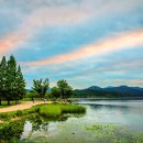 올라오니 이미지