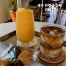 제주도 카페훤 웨이팅 없어서 좋았던 협재바다 앞 카페