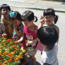 펄벅공원 이미지