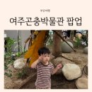 아프리카안경 롯데아울렛서울역점 | 기장 아이랑 실내 가볼만한 곳 롯데몰 메종 동부산 여주곤충박물관 팝업 전시회