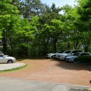 사라수변공원입구 이미지