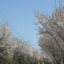 가평비타민팜체험농장 | 이수미팜베리 아이와 거창여행 꼭 가볼만한 곳