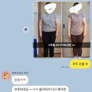 서연점핑