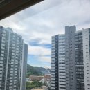 좋은아침입니다 웅모닝 이미지