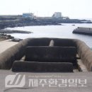 판올렛