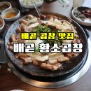배곧황소곱창