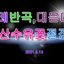 ▣ 구례 반곡,대음마을 산수유꽃 절정 이미지