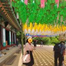 바른몸 한방병원 | 원주 바른몸한방병원의 5월진료일정 입니다.