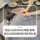 둔산스포츠.아로마 네이버블로그