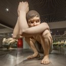 안국역 경복궁 근처 가볼 만한 전시 추천: 론 뮤익展 (Ron Mueck) 관람 후기