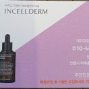 인셀덤서울본부안성