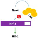 활성한의원 이미지