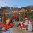 서울삼정초등학교 | 포천 허브아일랜드 야경 서울 근교 경기도 북부 야간 데이트코스 아이와 가볼만한 곳