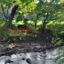 명산농장 이미지