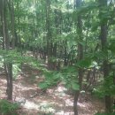 택양농장 이미지