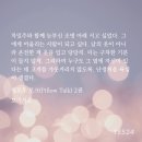 필톡 Daum카페
