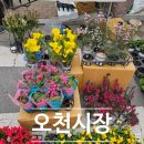 오천보건지소 이미지