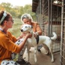 고양시 동물보호센터 이미지