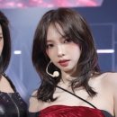 댕댕이와냥이 이미지
