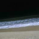 대하체육관 이미지