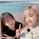 예율 Daum카페