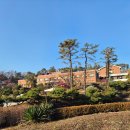 용인 DMD 대웅경영개발원 숙소 4인실 후기