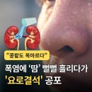 pet361라2008 | "콩팥도 목마르다"... 땀 뻘뻘 흘리다 '요로결석' 공포