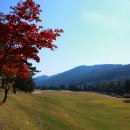 골드힐카운티골프클럽 이미지