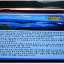 소나무와 호수 이미지