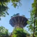 빅트리 | 창원 빅트리🌳 논란 많던 전망대 솔직후기｜위치·주차·운영시간까지