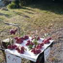 청운장여관 이미지