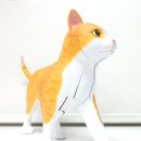 케어팜동물병원 이미지