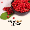 거창오미자영농조합법인 이미지