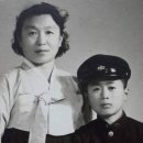 울엄마 티스토리