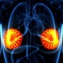 강남아름다운유외과의원 이미지